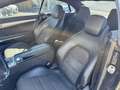Mercedes-Benz CL 220 CDI FAP BlueEfficiency - BVA Gps + Clim Noir - thumbnail 19