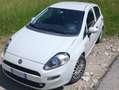 Fiat Punto Punto III 2012 5p 1.2 Lounge E6 Bianco - thumbnail 1