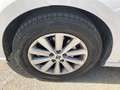 SEAT Ibiza 1.0 TSI S&S Style 85kW Blanco - thumbnail 16