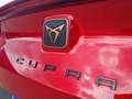 CUPRA Formentor 1.5 TSI 150 Burdeos - thumbnail 13