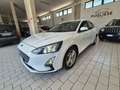 Ford Focus Focus Berlina 1.5 ecoblue Business 95cv Bianco - thumbnail 1