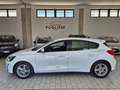 Ford Focus Focus Berlina 1.5 ecoblue Business 95cv Bianco - thumbnail 15