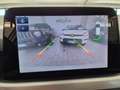 Ford Focus Focus Berlina 1.5 ecoblue Business 95cv Bianco - thumbnail 11