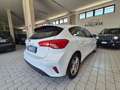 Ford Focus Focus Berlina 1.5 ecoblue Business 95cv Bianco - thumbnail 5