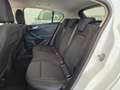 Ford Focus Focus Berlina 1.5 ecoblue Business 95cv Bianco - thumbnail 8