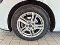 Ford Focus Focus Berlina 1.5 ecoblue Business 95cv Bianco - thumbnail 7