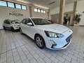 Ford Focus Focus Berlina 1.5 ecoblue Business 95cv Bianco - thumbnail 2
