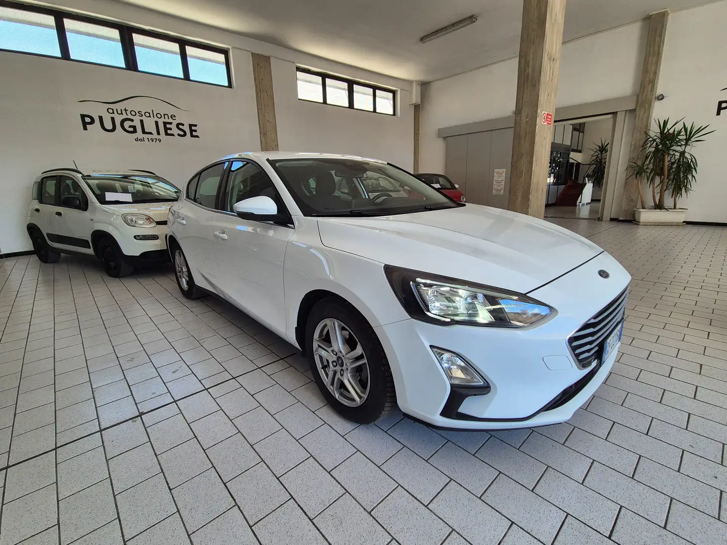 Ford Focus Focus Berlina 1.5 ecoblue Business 95cv Bianco - 2