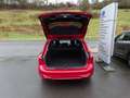 Ford Focus ST-Line X LED Navi Kamera Schiebedach ACC Rot - thumbnail 9