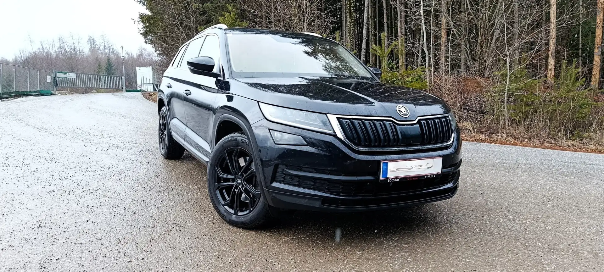 Skoda Kodiaq Kodiaq 2,0 TDI SCR 4x4 Style DSG Style Schwarz - 1