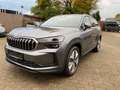 Skoda Kodiaq 2.0TDI 4x4 Selection Navi AHK Panorama 19 Grau - thumbnail 6