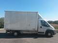 Fiat Ducato Sponda + Centinato Bianco - thumbnail 2