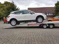 Tema Temared Carplatform 4120/2 S Alu 2,7t 2.700kg P... - thumbnail 19