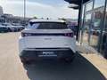 Peugeot 3008 Allure Business Hybrid 145 e-DCS6 Weiß - thumbnail 16