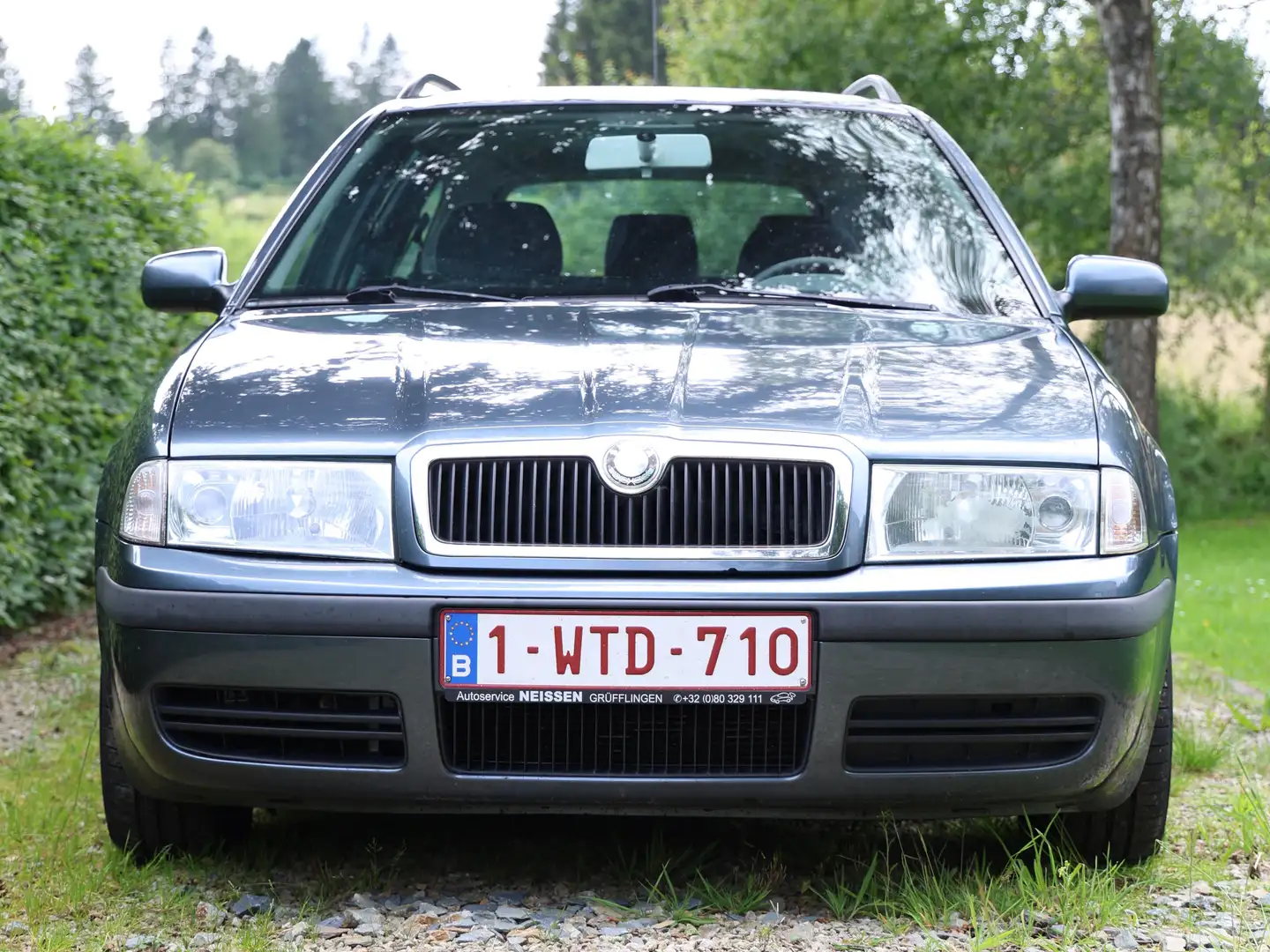 Skoda Octavia Octavia SW 1.9 TDi Classic Gris - 2