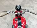 Moto Guzzi Superalce Privato Rood - thumbnail 18