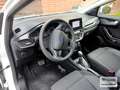 Ford Puma Titanium Titanium EcoBoost Aut LED~KAMERA Blanc - thumbnail 11