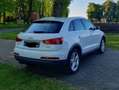 Audi Q3 Q3 2.0 TDI quattro S tronic Weiß - thumbnail 3