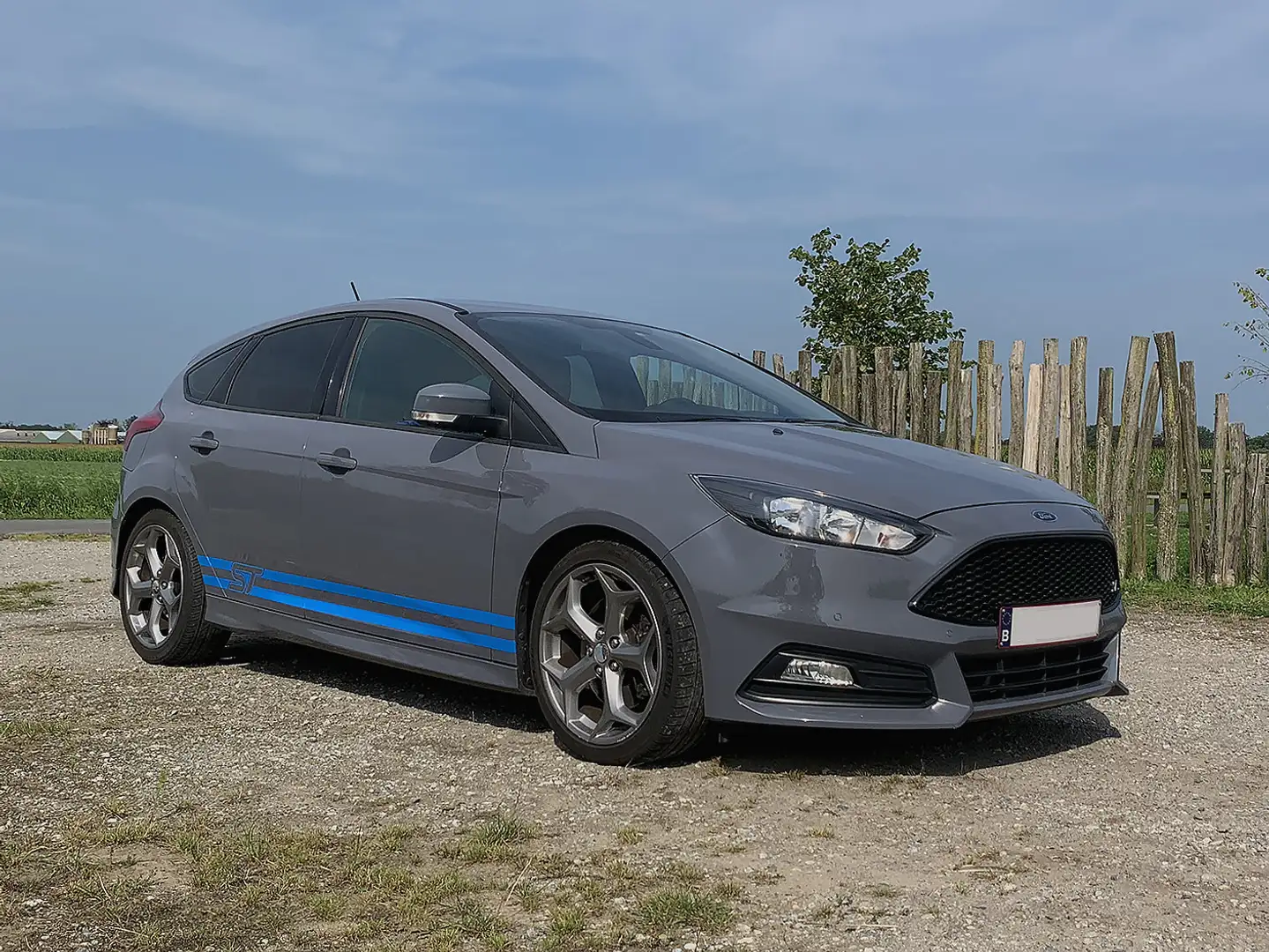 Ford Focus 2.0 ST MK3.5 Gris - 2