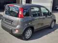 Fiat New Panda 1.0 70 CV HYBRID NEOPATENTATI Gri - thumbnail 4