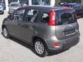 Fiat New Panda 1.0 70 CV HYBRID NEOPATENTATI Grijs - thumbnail 6