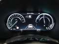 Kia XCeed 1.6 GDi PHEV ExecutiveLine | Panoramadak | Lederen Grijs - thumbnail 12