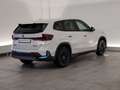 BMW iX1 xDrive30 Navi/LED/DrAs/DAB/PaAs/Sitzhz Navi/LED/Dr Weiß - thumbnail 8