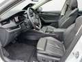 Skoda Octavia Combi 2.0 TDI DSG Style Weiß - thumbnail 8