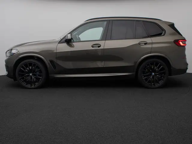 BMW X5 view 11