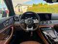 Mercedes-Benz AMG GT 63 S 4 Matic Brabus GT 800 Deutsch Plateado - thumbnail 10