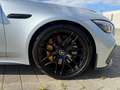Mercedes-Benz AMG GT 63 S 4 Matic Brabus GT 800 Deutsch Plateado - thumbnail 6
