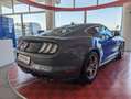 Ford Mustang Fastback 5.0 V8 aut. GT siva - thumbnail 4