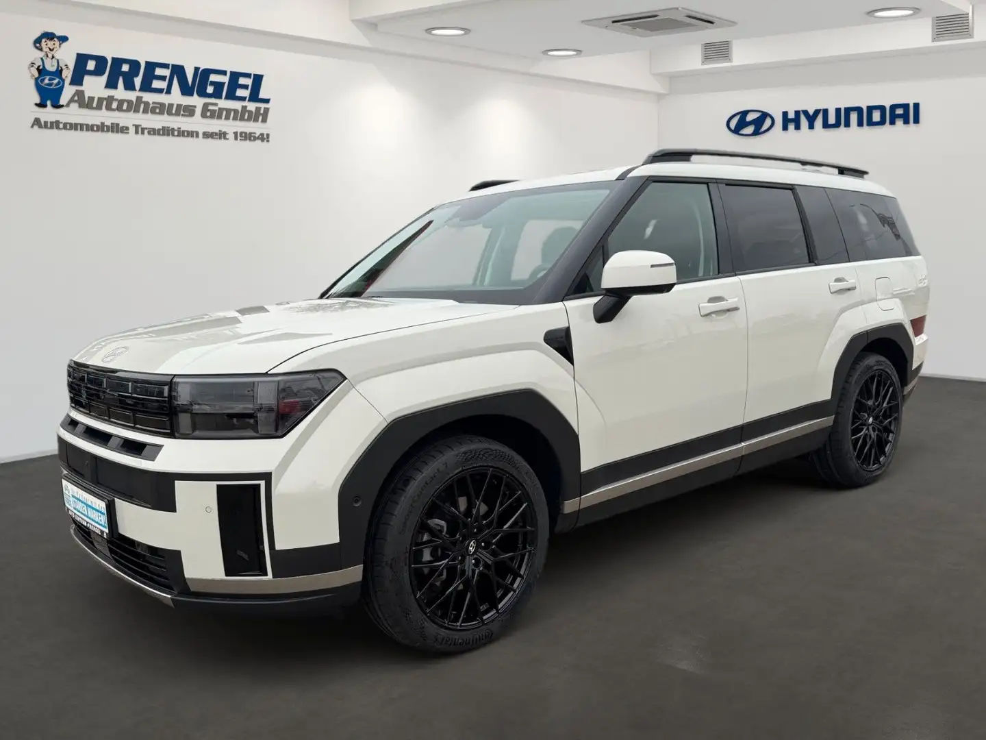 Hyundai SANTA FE 1.6T HEV 4WD Intro BOSE/360°/Leder Grau - 1