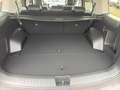Hyundai SANTA FE 1.6T HEV 4WD Intro BOSE/360°/Leder/WKR Grau - thumbnail 12