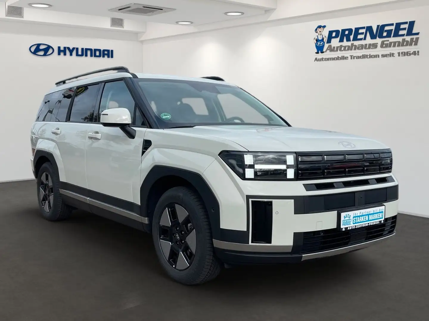 Hyundai SANTA FE 1.6T HEV 4WD Intro BOSE/360°/Leder/WKR Grau - 2