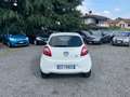 Ford Ka/Ka+ 1.2 8V 69 CV Individual*NEOPATENTATI Bianco - thumbnail 5
