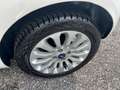Ford Ka/Ka+ 1.2 8V 69 CV Individual*NEOPATENTATI Bianco - thumbnail 11