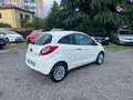 Ford Ka/Ka+ 1.2 8V 69 CV Individual*NEOPATENTATI Bianco - thumbnail 4
