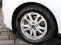 Ford Transit Connect 1.5 EcoBlue Aut. Limited L240 Blanco - thumbnail 10