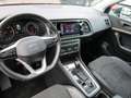 SEAT Ateca 2.0 TDI Xperience 4Drive*LED*AHK*LEDER*KAM Grün - thumbnail 9