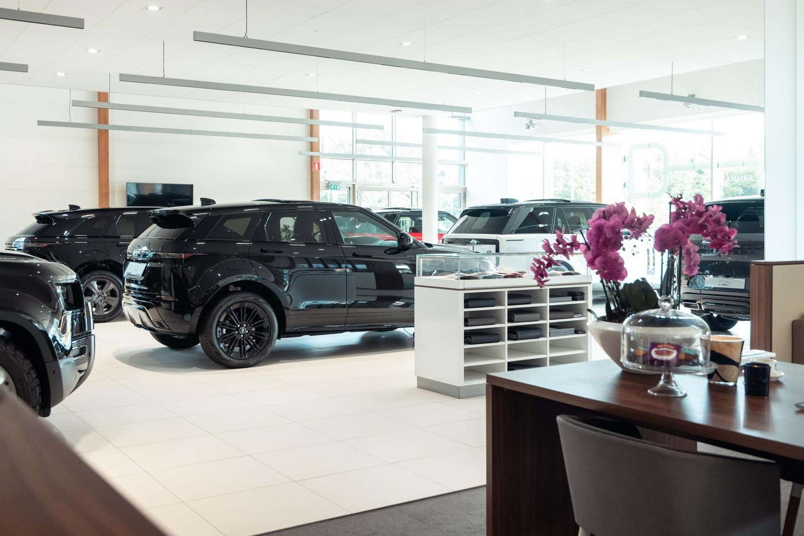 Land Rover Discovery D300 R-Dynamic SE -  - Joinsteer - #5