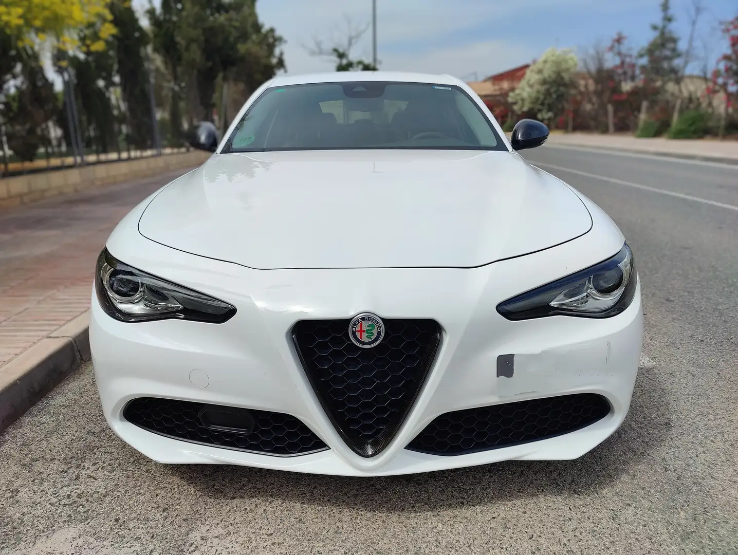 Alfa Romeo Giulia 2.0 Super Aut. 200 - 2