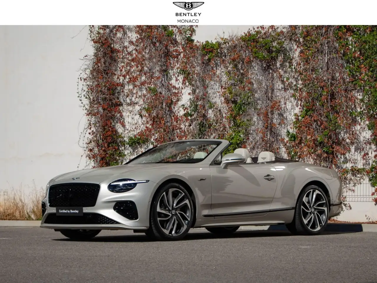 Bentley Continental GTC