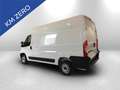 Fiat Ducato 35 mh2 2.2 mjt3 140cv Bianco - thumbnail 7