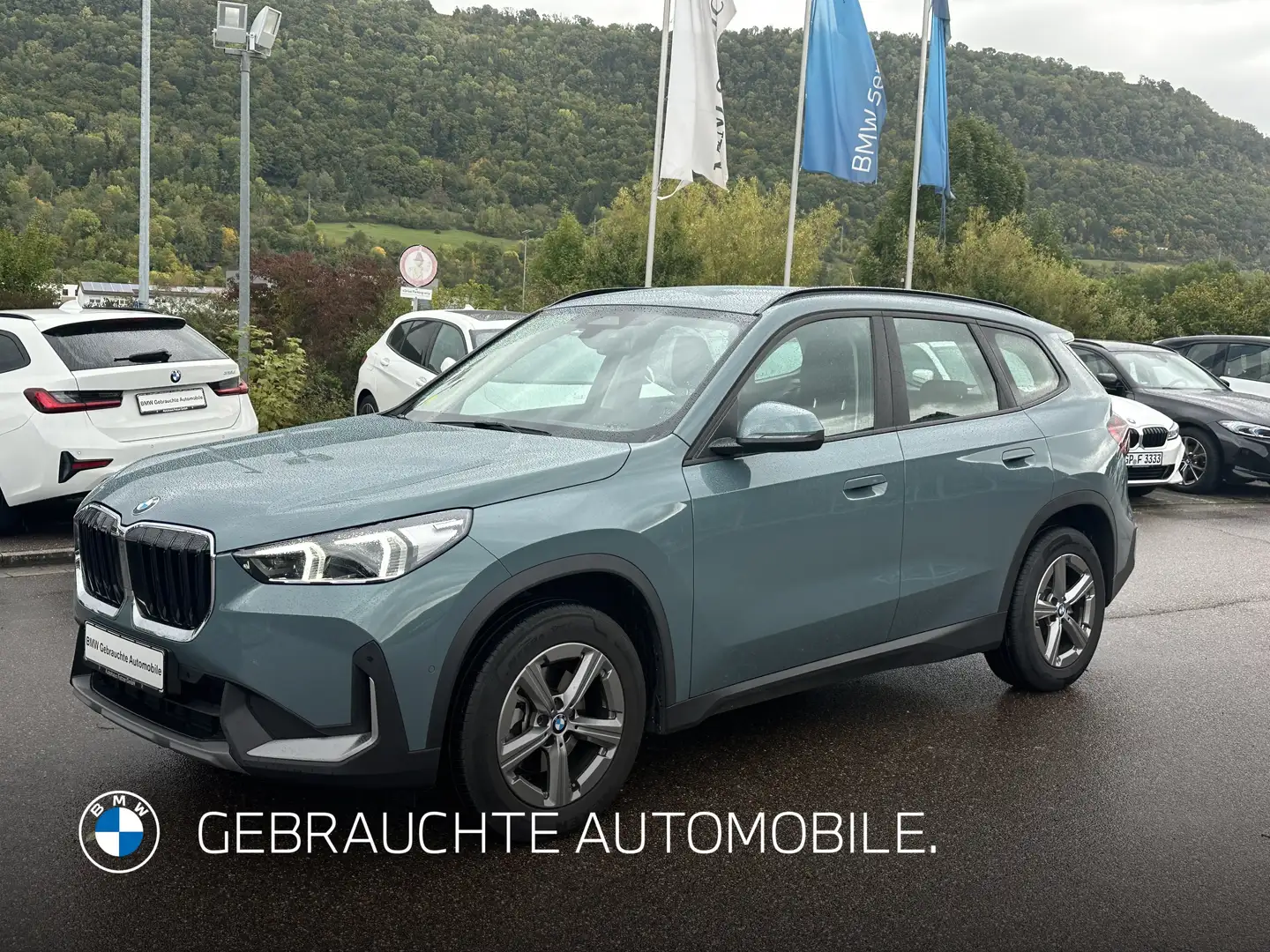 BMW X1 xDrive20d DAB LED RFK Komfortzg. Klimaaut. Grün - 1