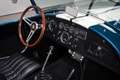 Shelby Sonstige Cobra CSX 4000 Series Blau - thumbnail 38