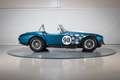 Shelby Sonstige Cobra CSX 4000 Series Blau - thumbnail 10