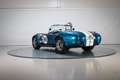 Shelby Sonstige Cobra CSX 4000 Series Blau - thumbnail 7