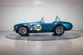 Shelby Sonstige Cobra CSX 4000 Series Blau - thumbnail 6