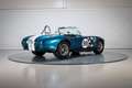Shelby Sonstige Cobra CSX 4000 Series Blau - thumbnail 9